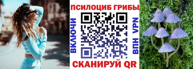 Псилоцибиновые грибы Psilocybine cubensis  Енисейск 