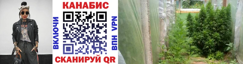Конопля семена  Енисейск 